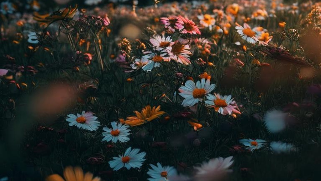 Физические наказания: проявление любви или гнева?